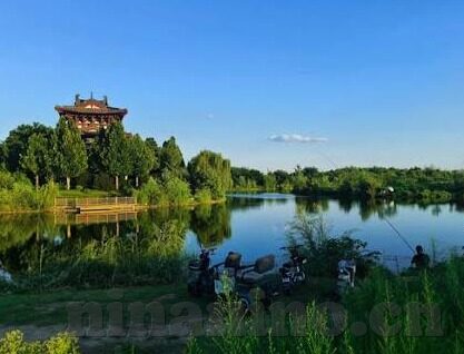 哪里可以下载糖心app-自由探索在线娱乐新体验，优质应用下载指南