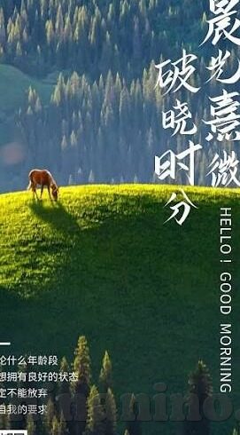 yw尤物av无码麻豆-视觉盛宴，解读互联网上的Yw尤物·无码麻豆影像的多媒体趋势与争议